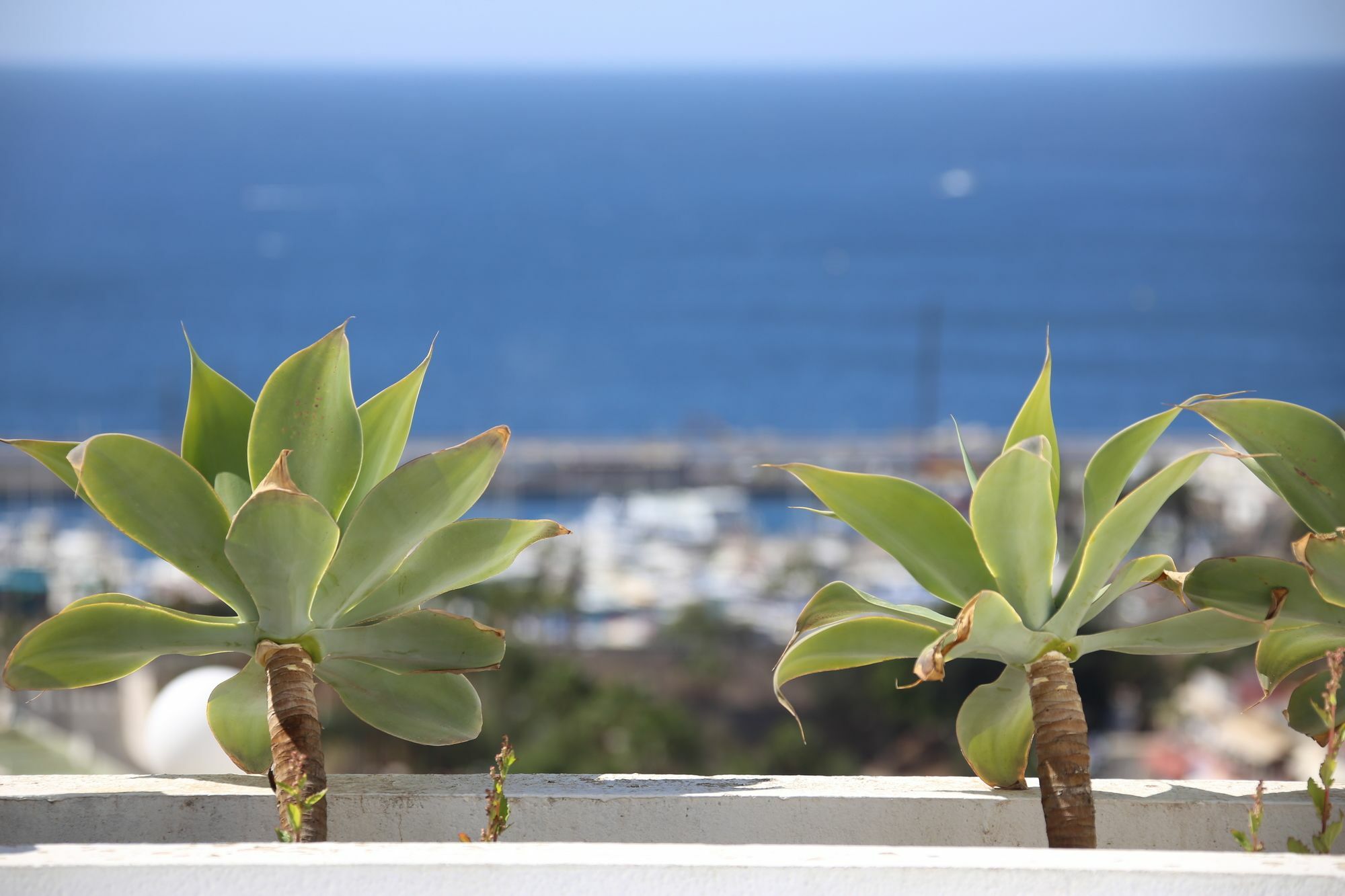 Apartamentos Halley Puerto Rico  Exteriér fotografie