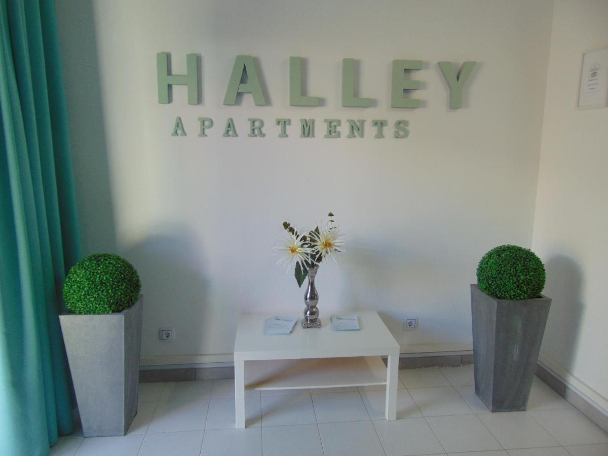 Apartamentos Halley Puerto Rico  Exteriér fotografie